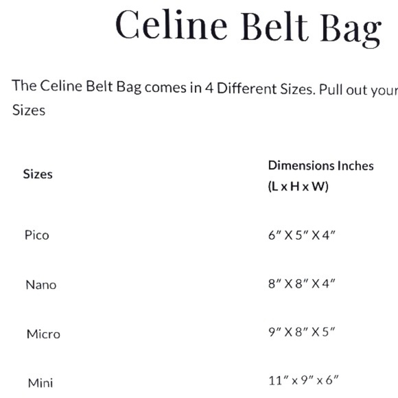 Celine Mini Belt Bag ( Largest size of the belt bag ) Light Taupe NEW - Picture 7 of 16